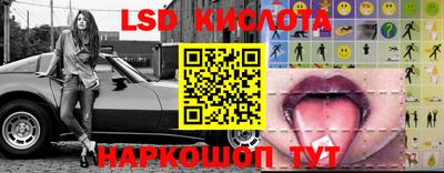 крисы Норильск
