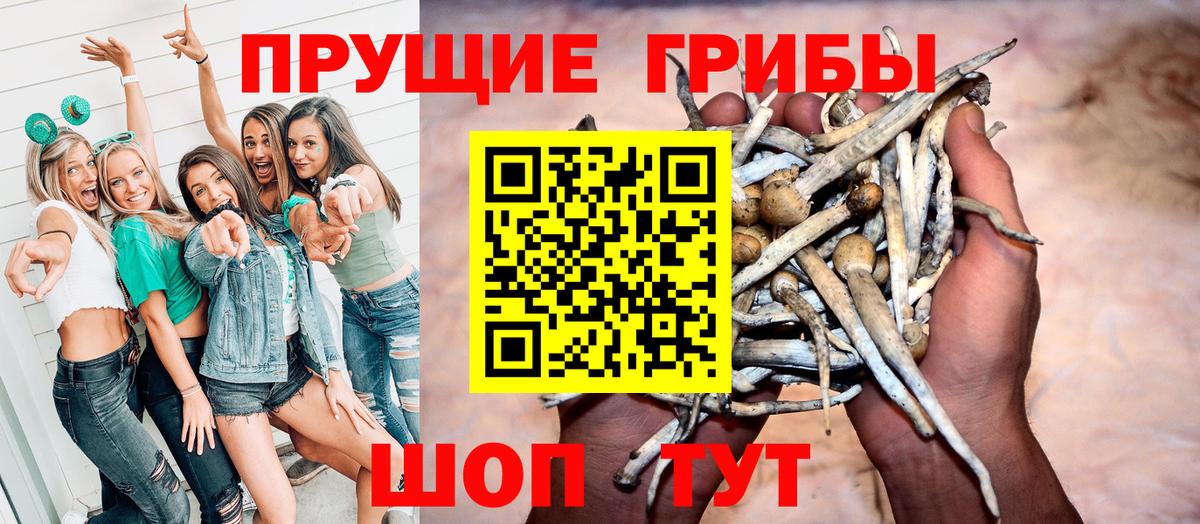 Кимры  Псилоцибиновые грибы мухоморы  купить   Псилоцибиновые грибы MAGIC MUSHROOMS  Вход с VPN 